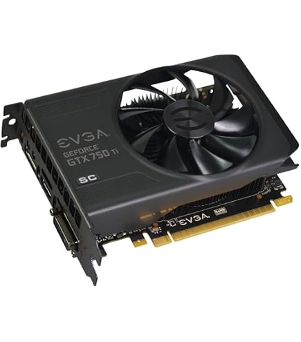 Amazon.com: EVGA GeForce GTX 750 with G-SYNC Support 1GB GDDR5